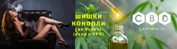 стафф Гусь-Хрустальный