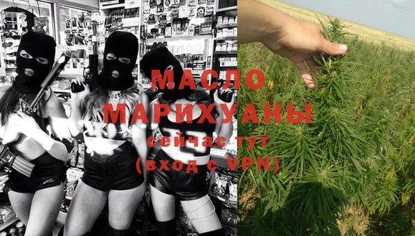 стафф Гусь-Хрустальный